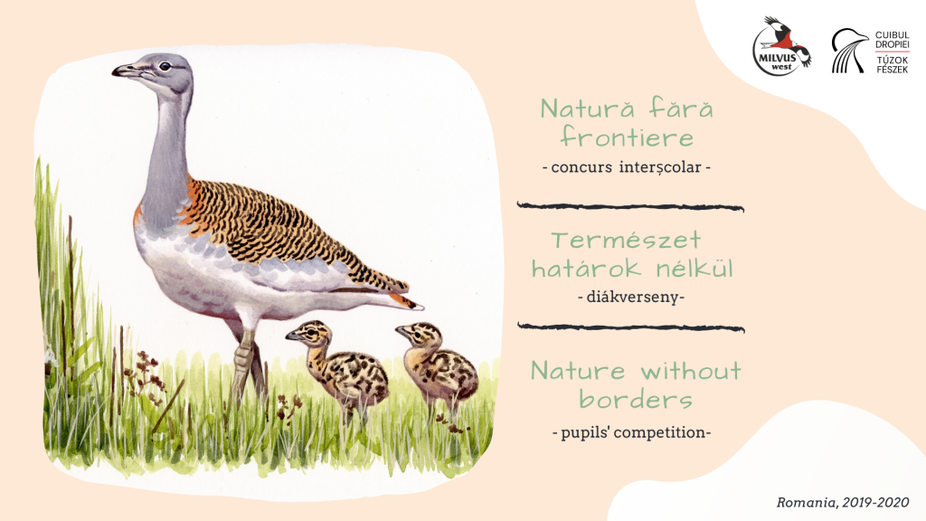 Pupils in Bihor County had to do simulation exercises on the nesting of the Great Bustard as early as February